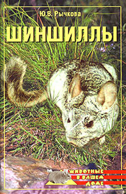 Книга Шиншиллы из серии , созданная Юлия Рычкова, может относится к жанру Домашние Животные. Стоимость книги Шиншиллы  с идентификатором 167748 составляет 99.00 руб.