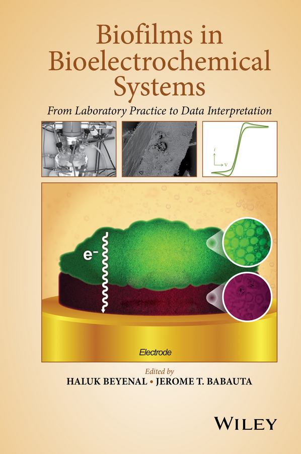Biofilms in Bioelectrochemical Systems. From Laboratory Practice to Data Interpretation