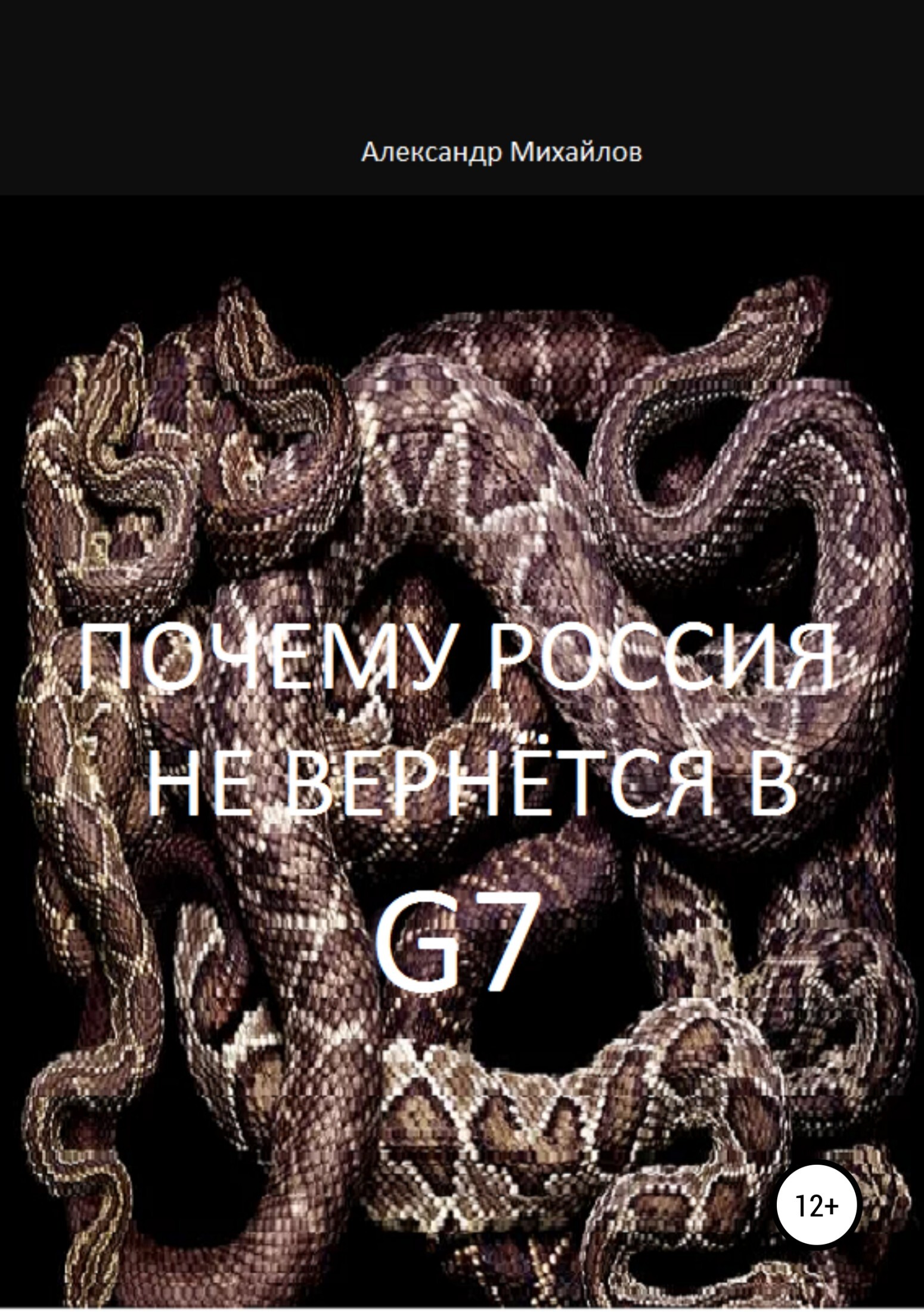 Книга Почему Россия не вернётся в G7 из серии , созданная Александр Михайлов, может относится к жанру Экономика, Политика, политология, Политика, политология. Стоимость электронной книги Почему Россия не вернётся в G7 с идентификатором 35737840 составляет 0 руб.