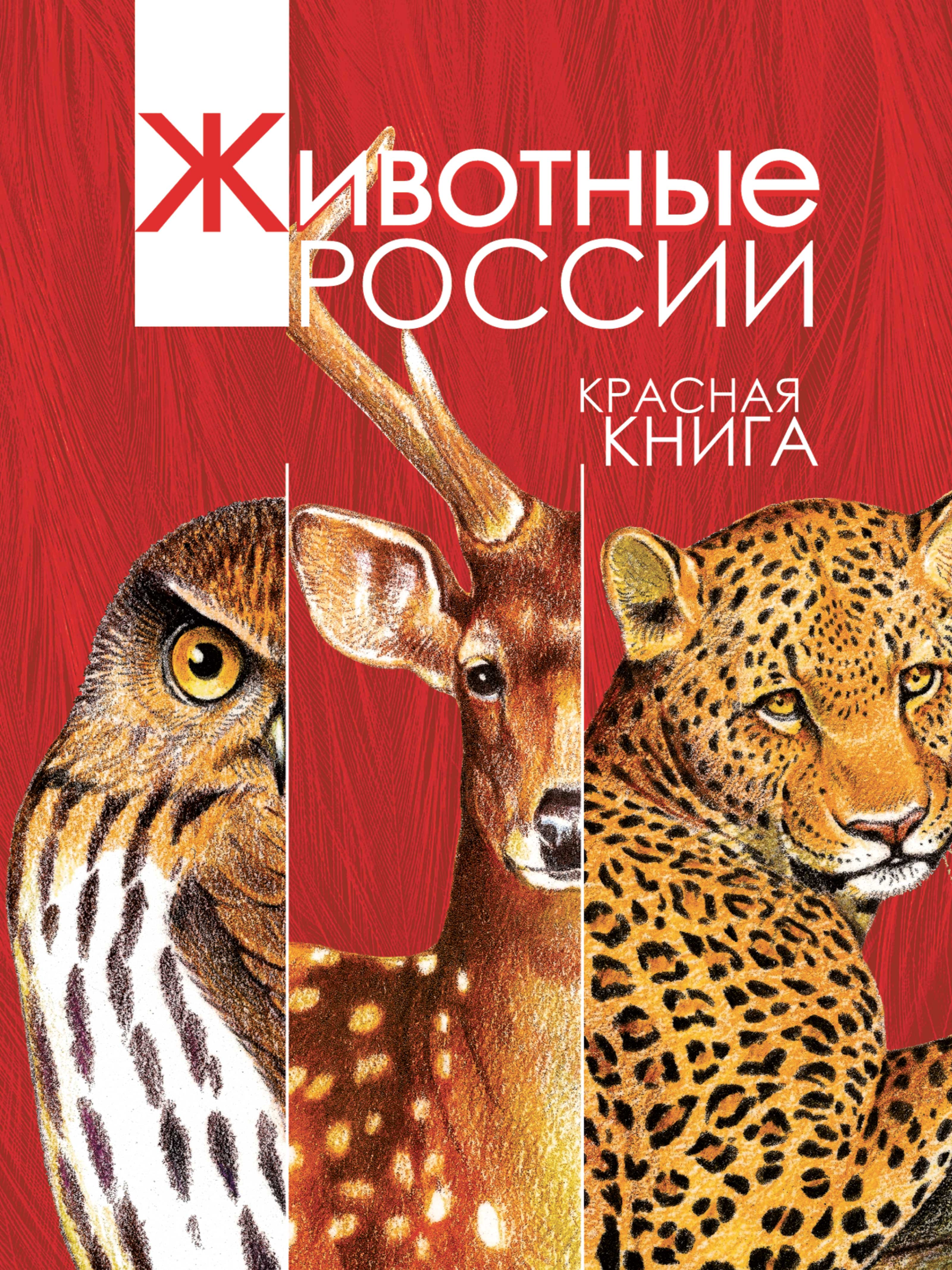 Животные России. Красная книга
