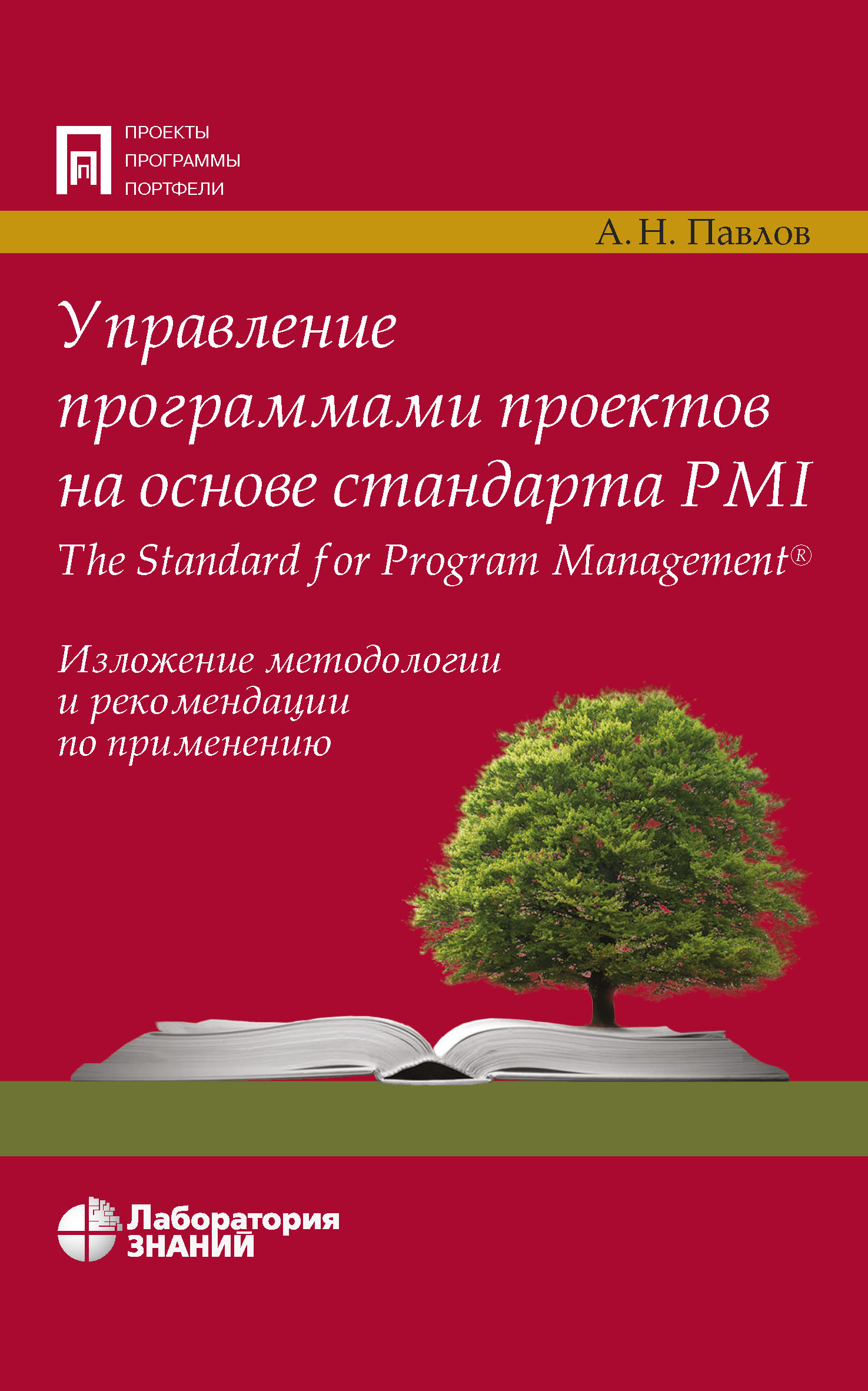 Управление программами проектов на основе стандарта PMI The Standard for Program Management. Изложение методологии и рекомендации по применению