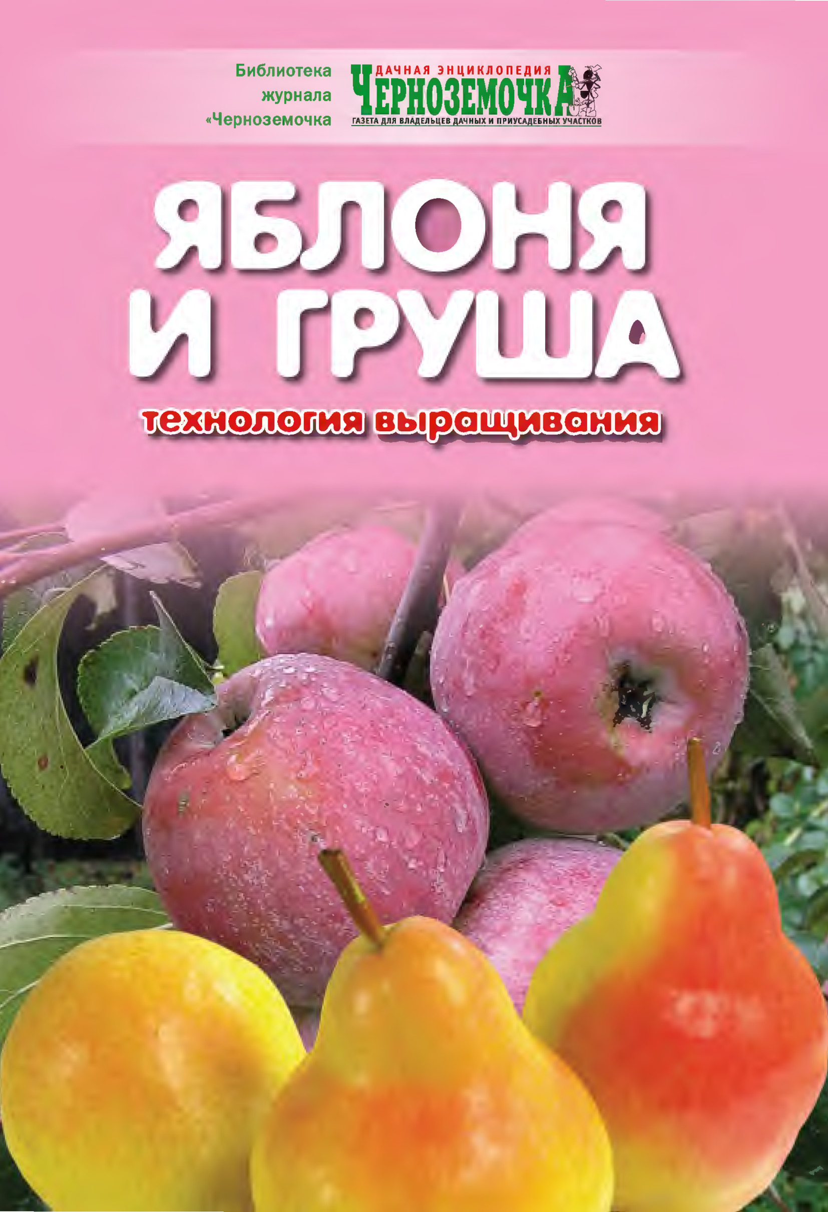 Книга Яблоня и груша. Технология выращивания из серии Библиотека журнала 