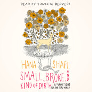 Small, Broke, and Kind of Dirty - Affirmations for the Real World (Unabridged)