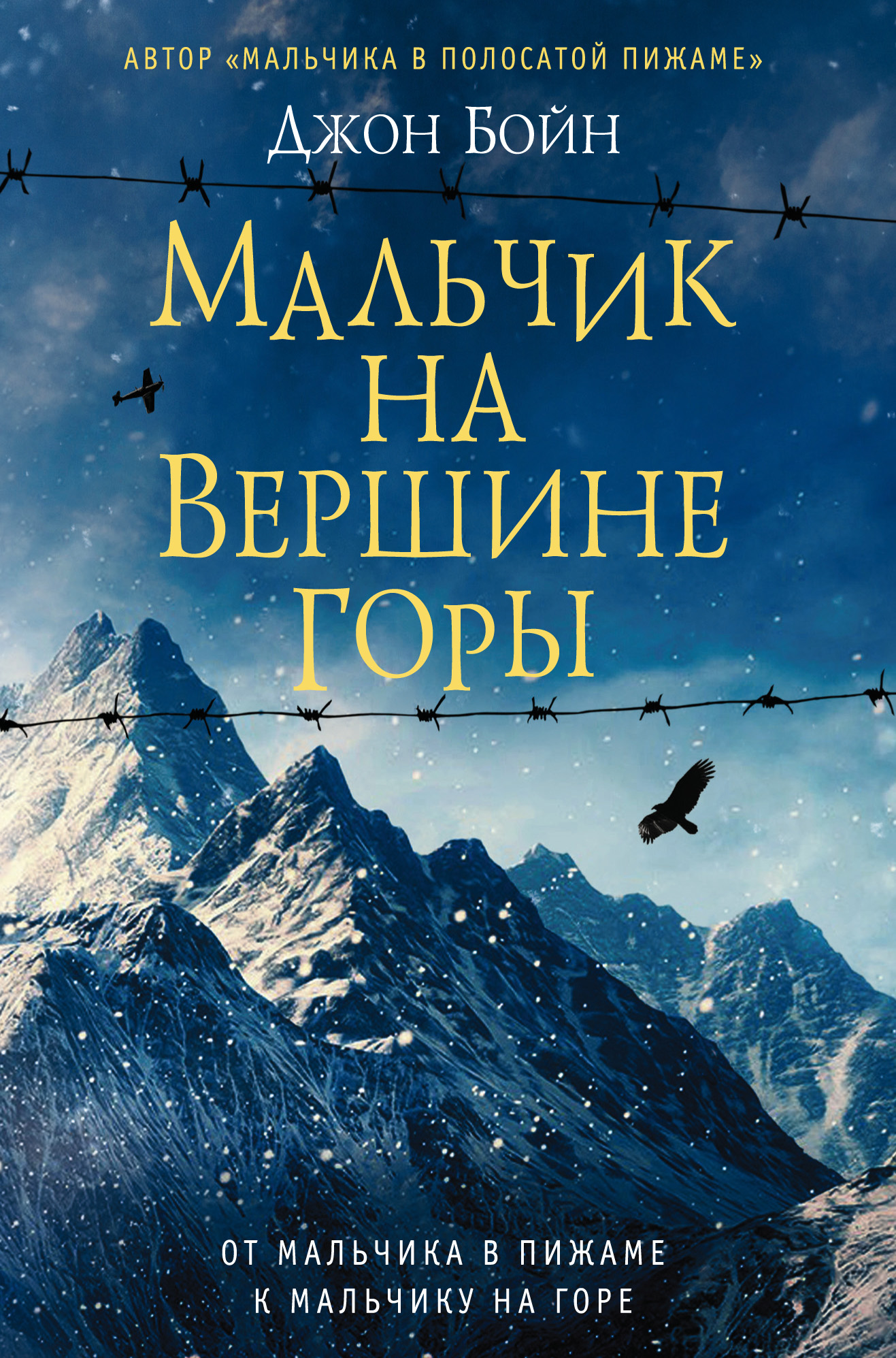 Отзывы о книге «Мальчик на вершине горы», рецензии на книгу Джона Бойна,  рейтинг в библиотеке ЛитРес, страница 14