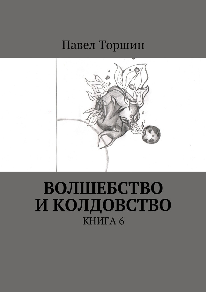 Павел Васильевич Торшин Волшебство и колдовство. Книга 6