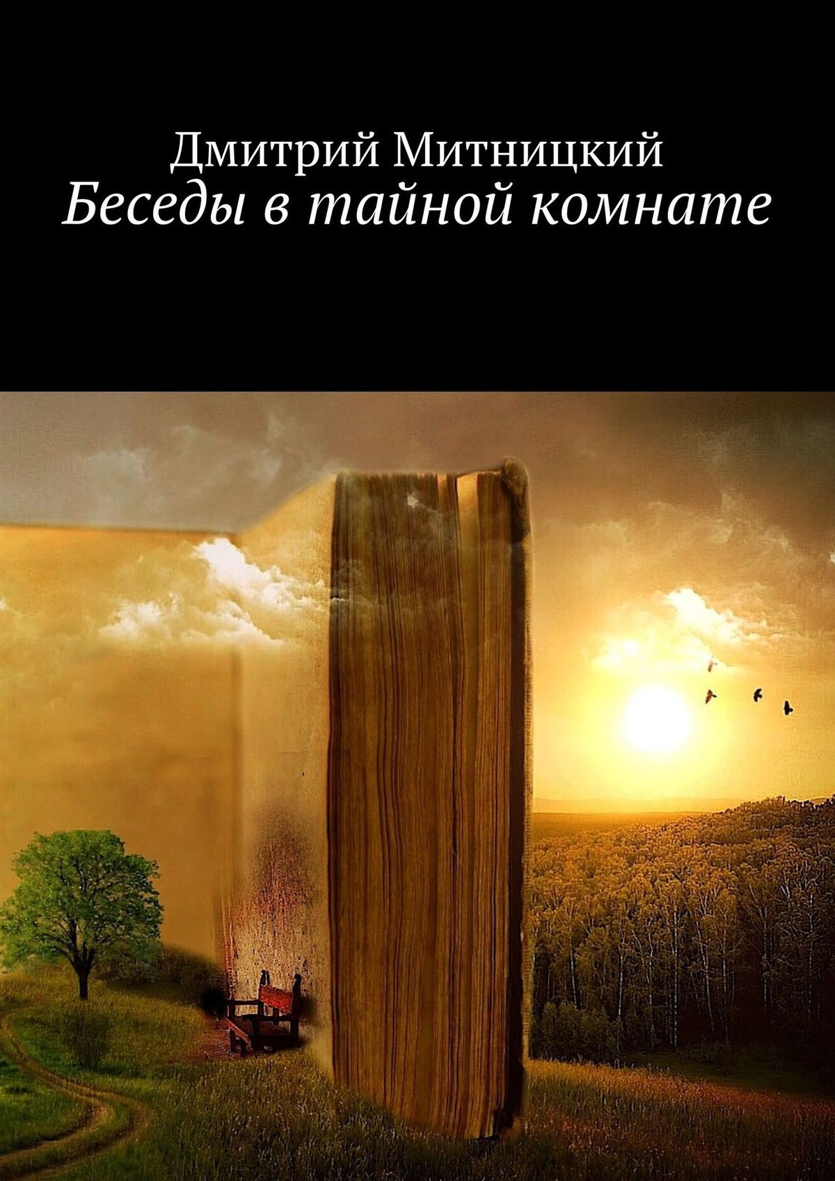 Читать онлайн «Беседы в тайной комнате», Дмитрий Митницкий – ЛитРес