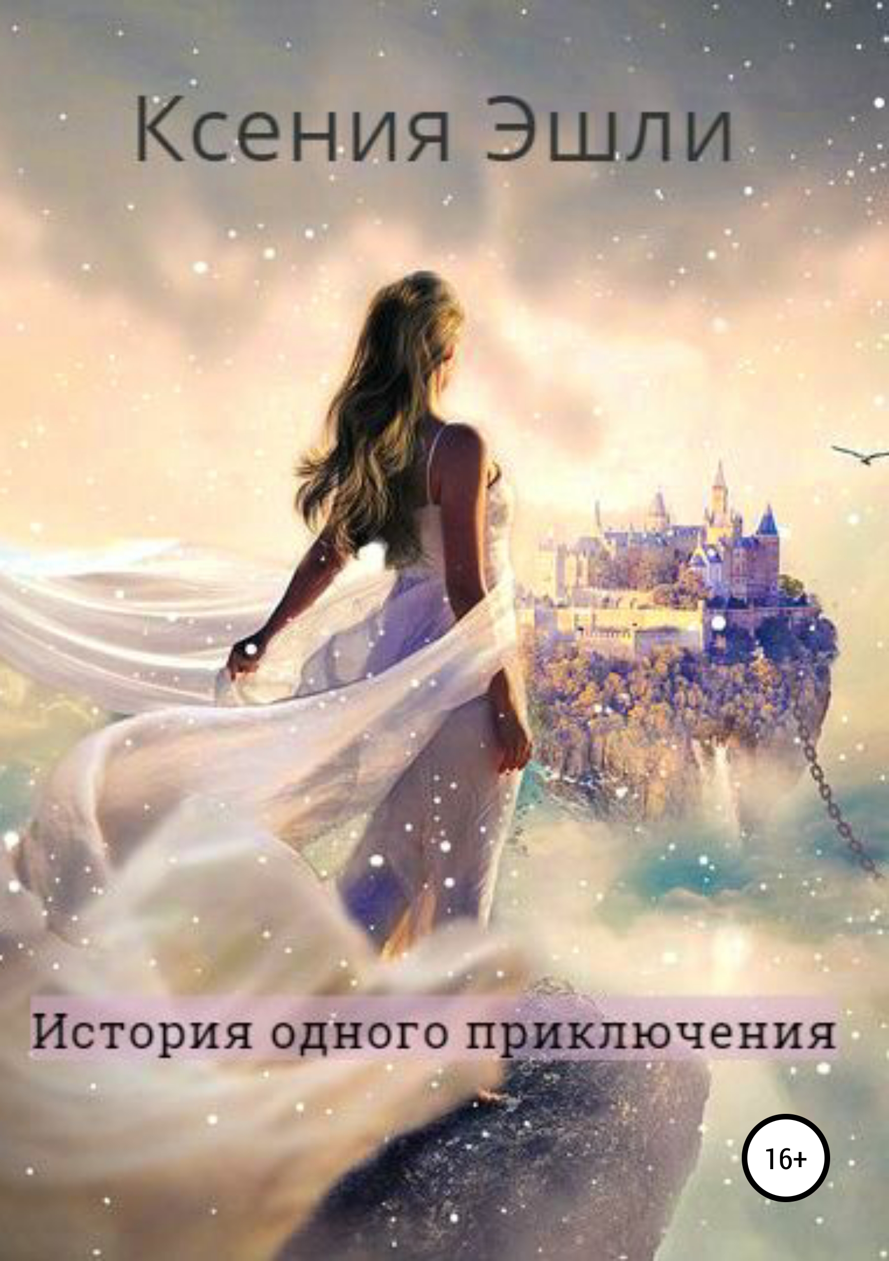 

История одного приключения