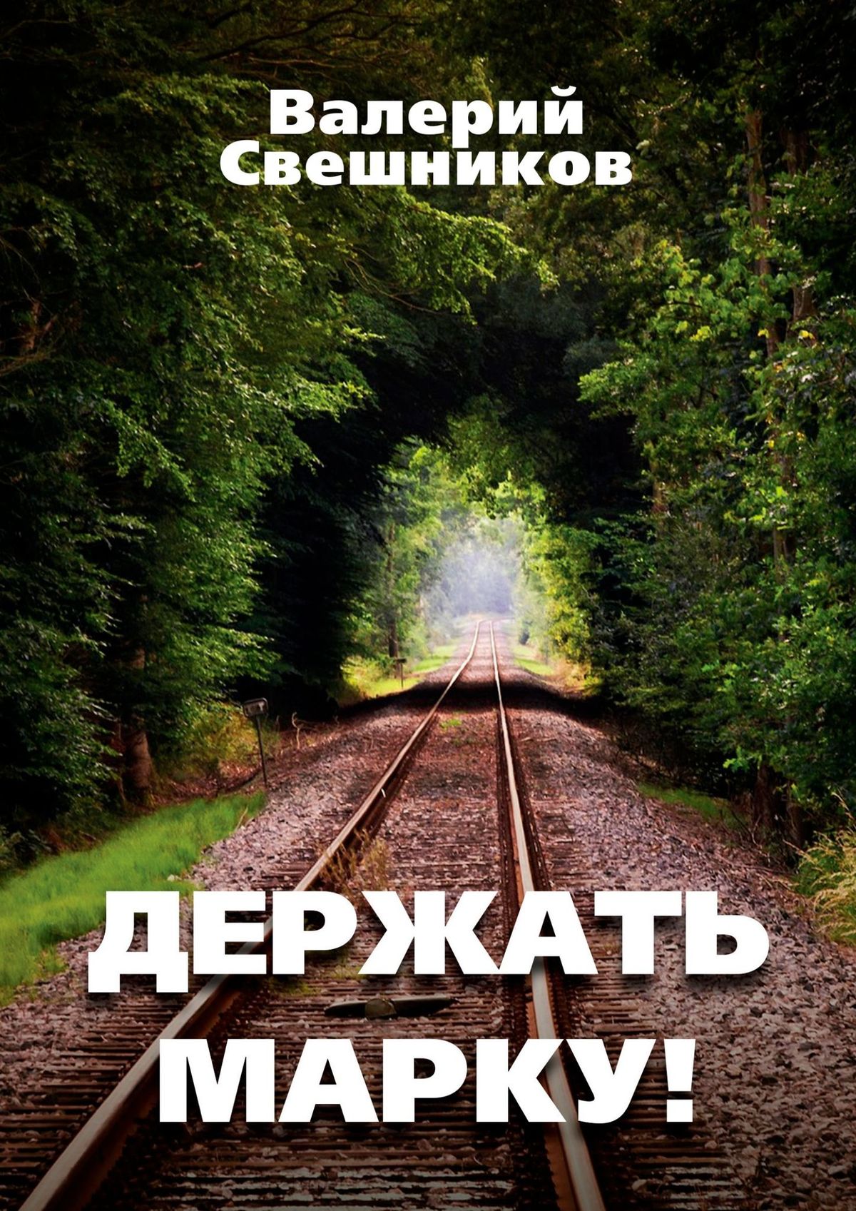 Читать онлайн «Держать марку!», Валерий Свешников – ЛитРес, страница 2