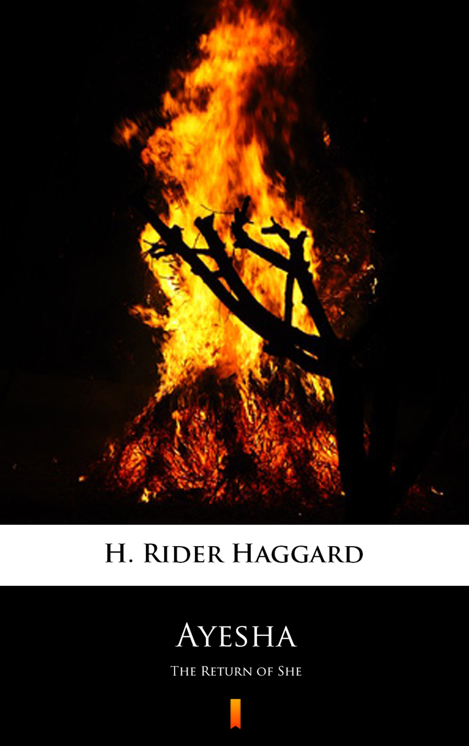 все цены на H. Rider Haggard Ayesha онлайн