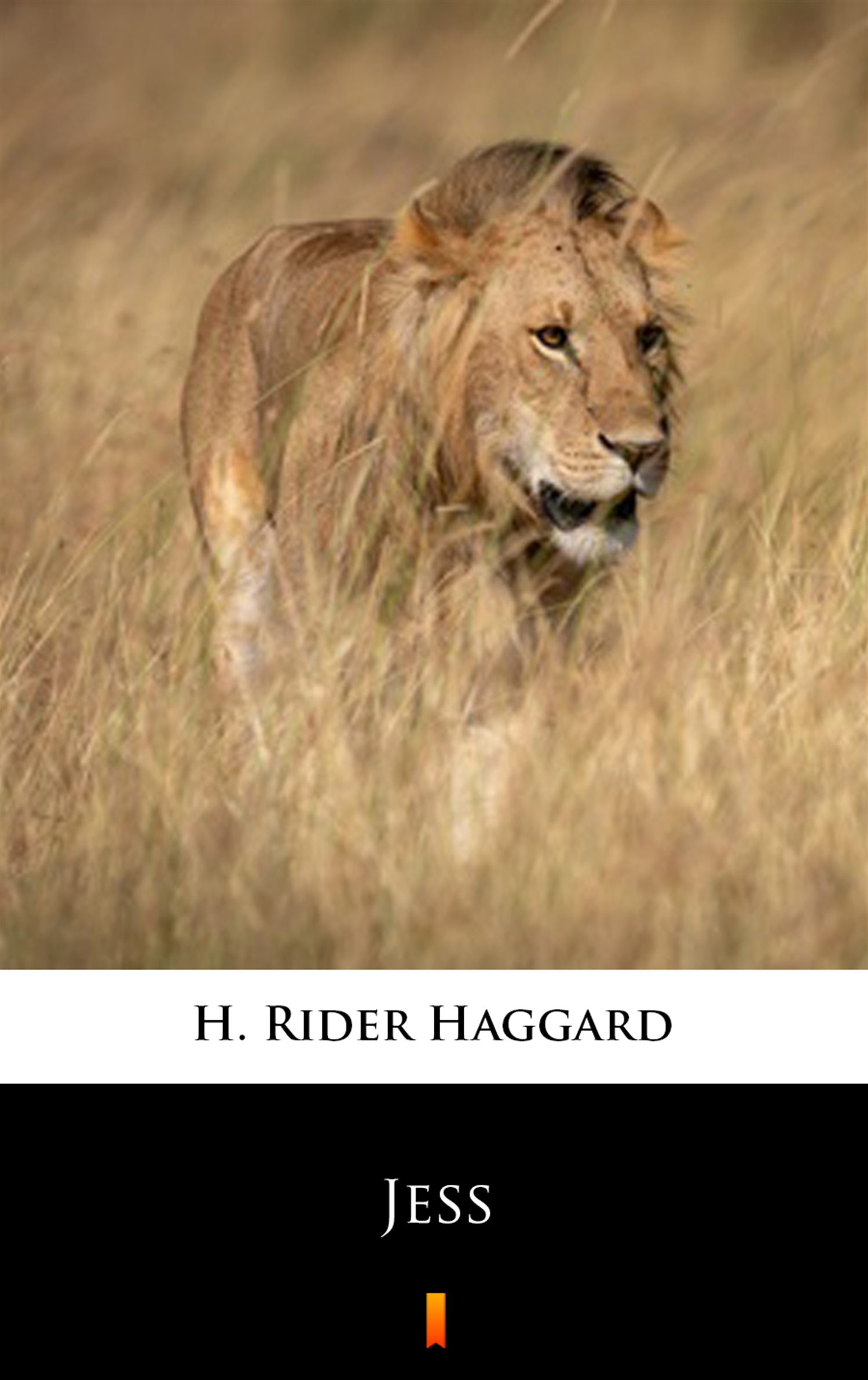 все цены на H. Rider Haggard Jess онлайн