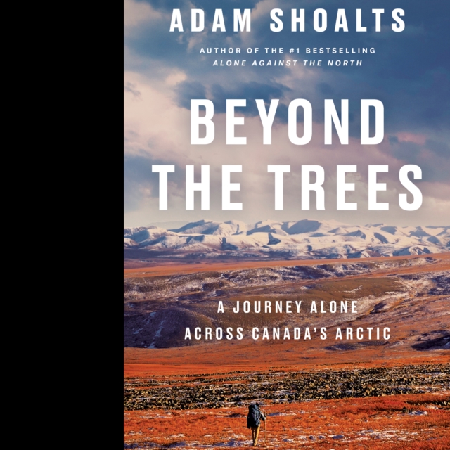 

Beyond the Trees