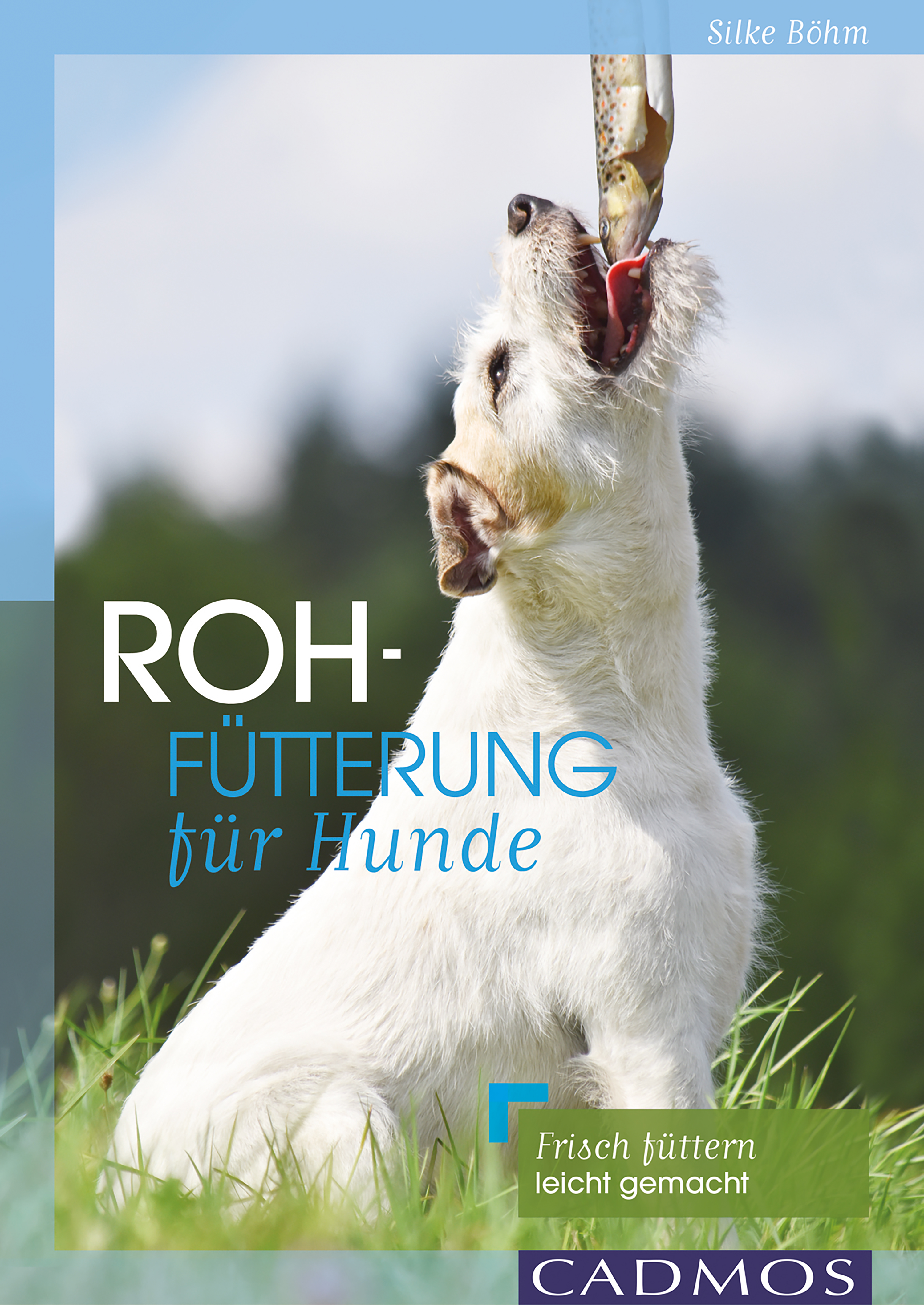 Rohfütterung für Hunde