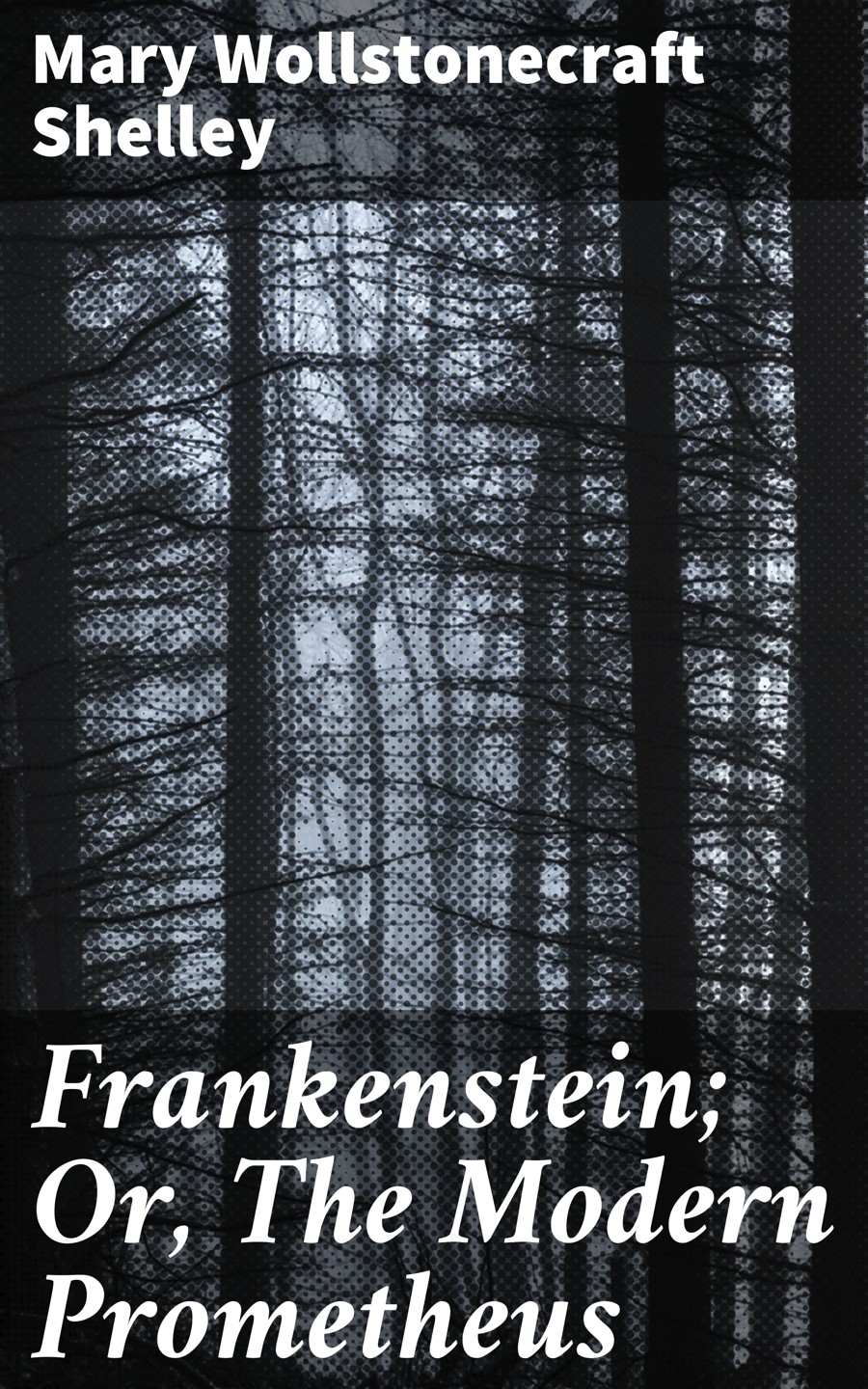 Мэри Шелли Frankenstein; Or, The Modern Prometheus