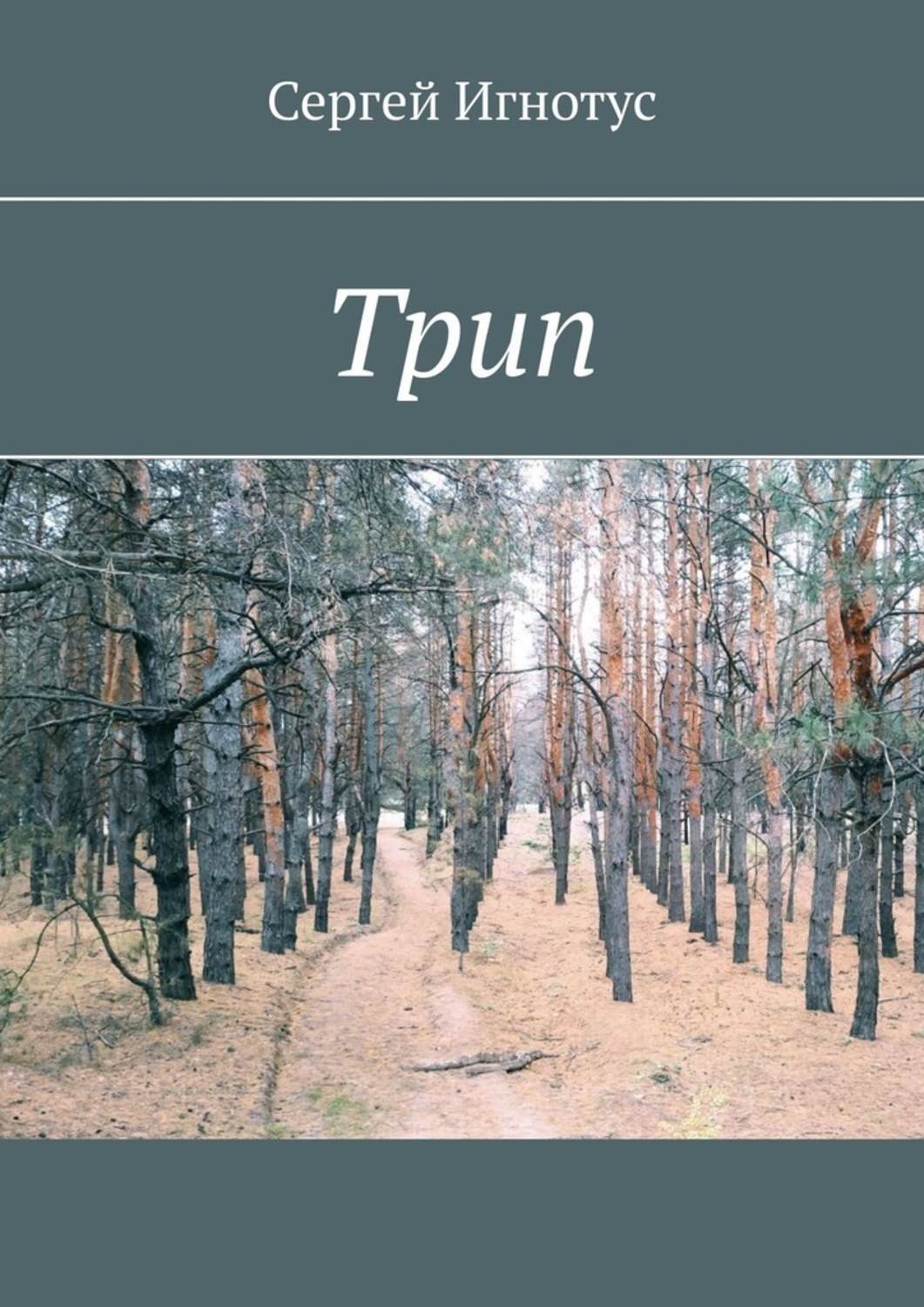 

Трип