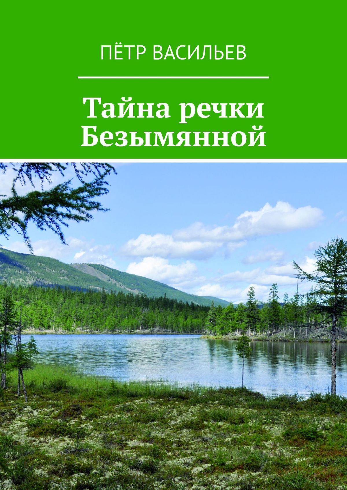 Читать онлайн «Тайна речки Безымянной», Пётр Васильев – ЛитРес, страница 2