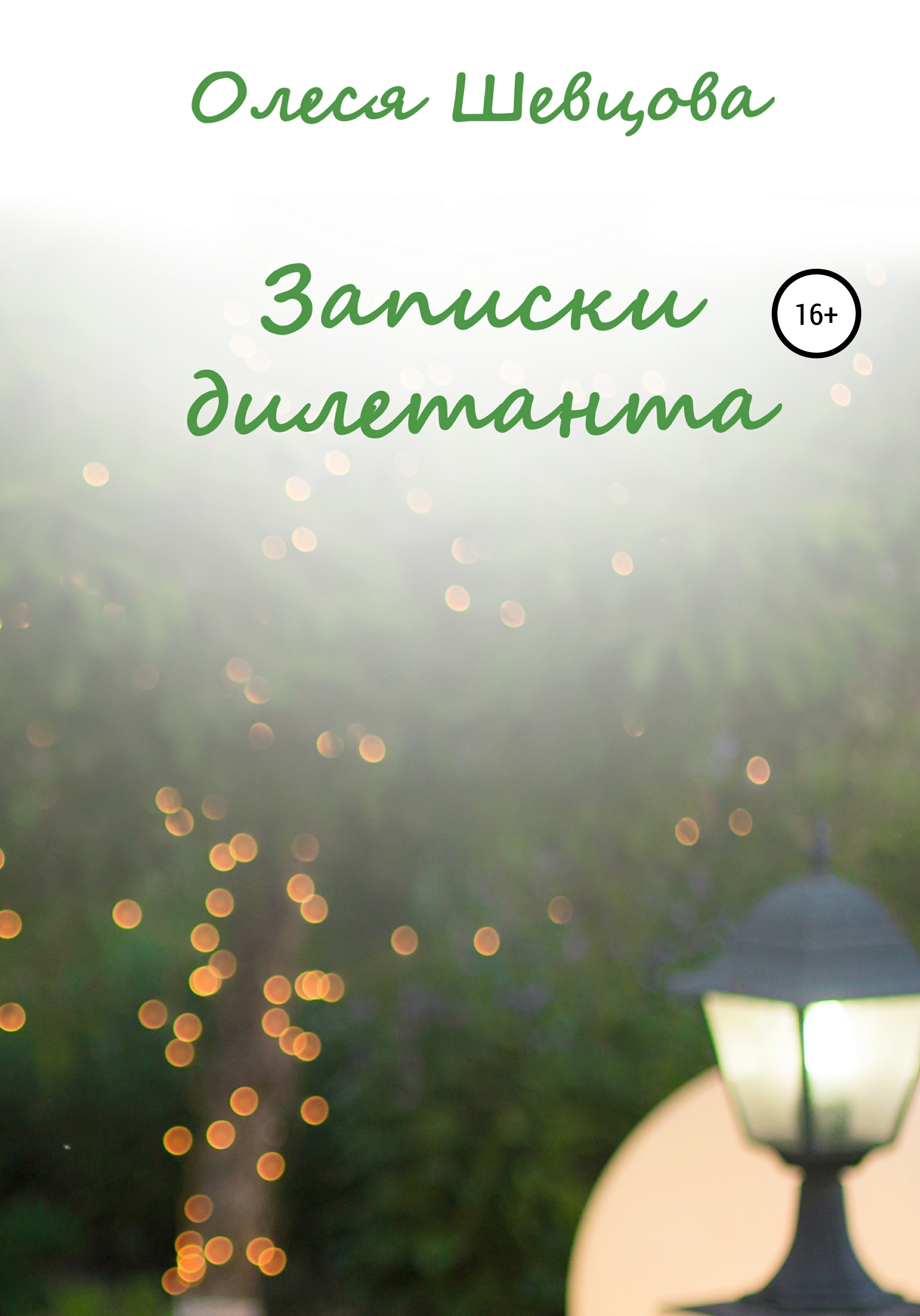 

Записки дилетанта