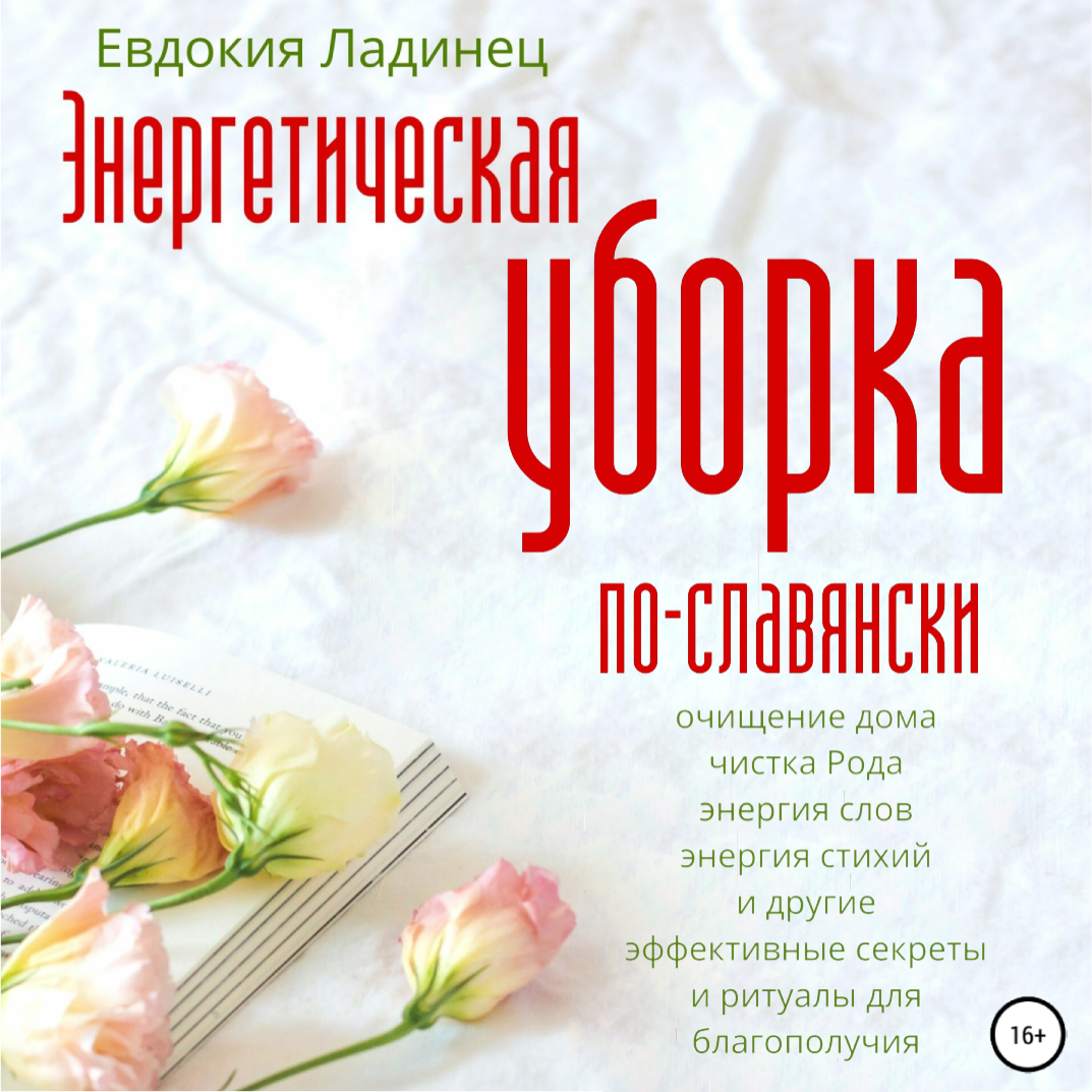 Читать онлайн «Энергетическая уборка по-славянски», Евдокия Ладинец – ЛитРес