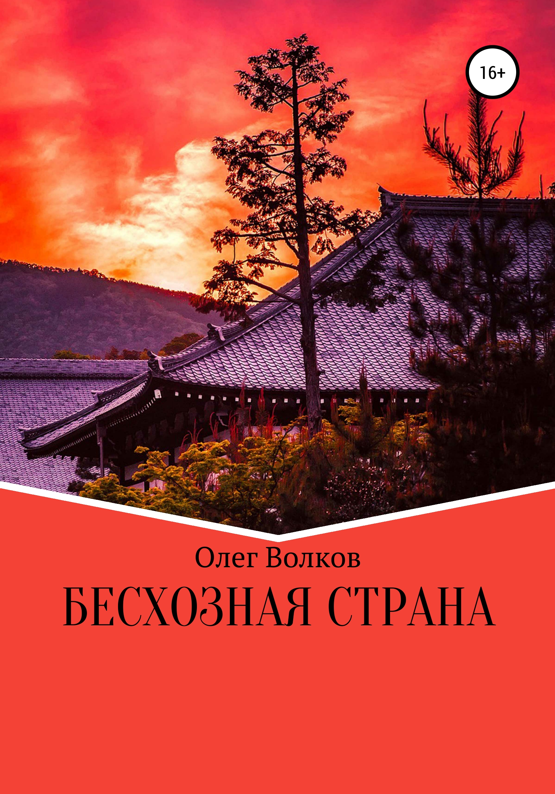 Читать онлайн «Бесхозная страна», Олег Волков – ЛитРес