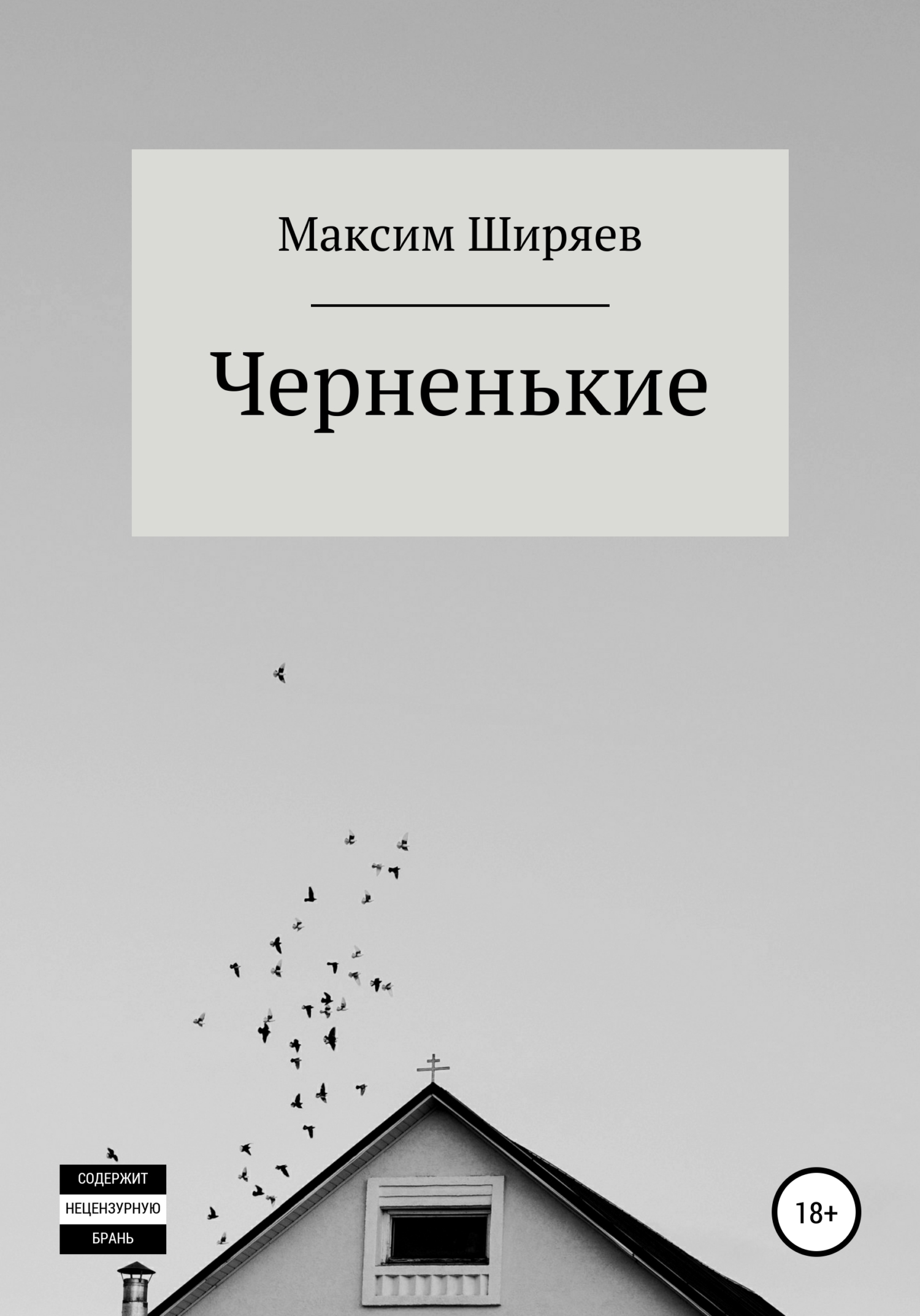 Читать онлайн «Черненькие», Максим Алексеевич Ширяев – ЛитРес, страница 7