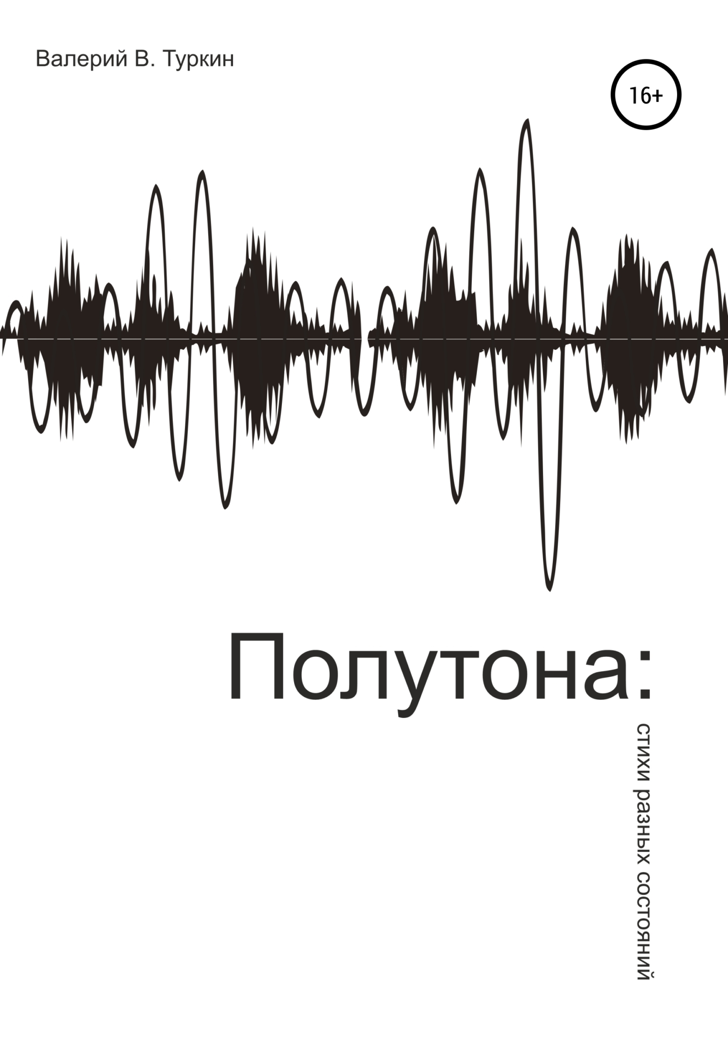 Читать онлайн «Полутона: стихи разных состояний», Валерий Владимирович  Туркин – ЛитРес