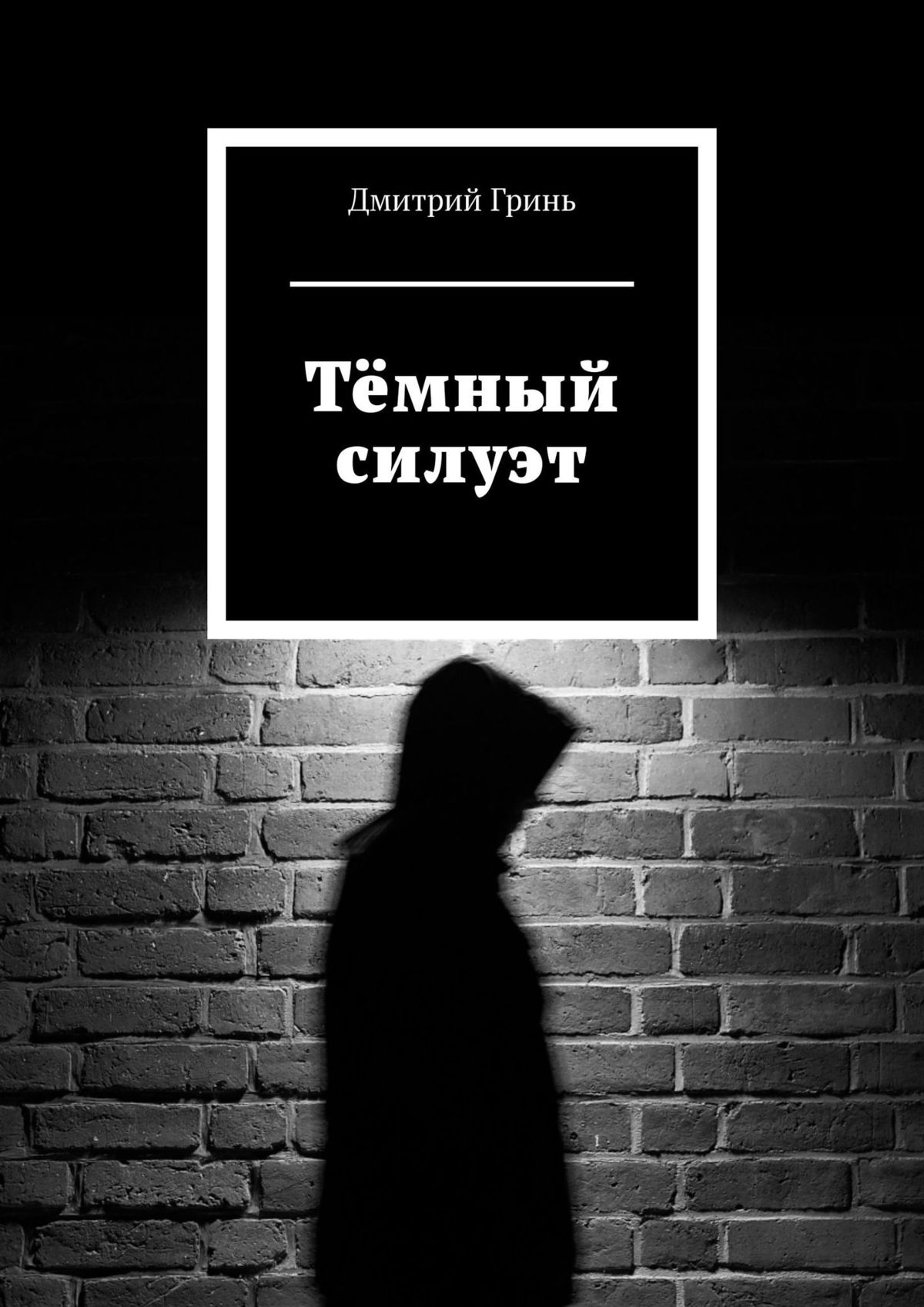 Читать онлайн «Тёмный силуэт», Дмитрий Гринь – ЛитРес