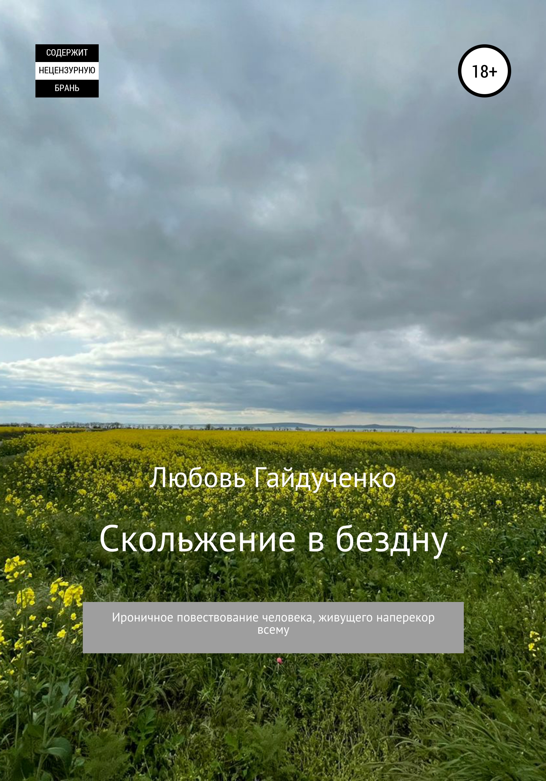 Читать онлайн «Скольжение в бездну», Любовь Гайдученко – ЛитРес, страница 5