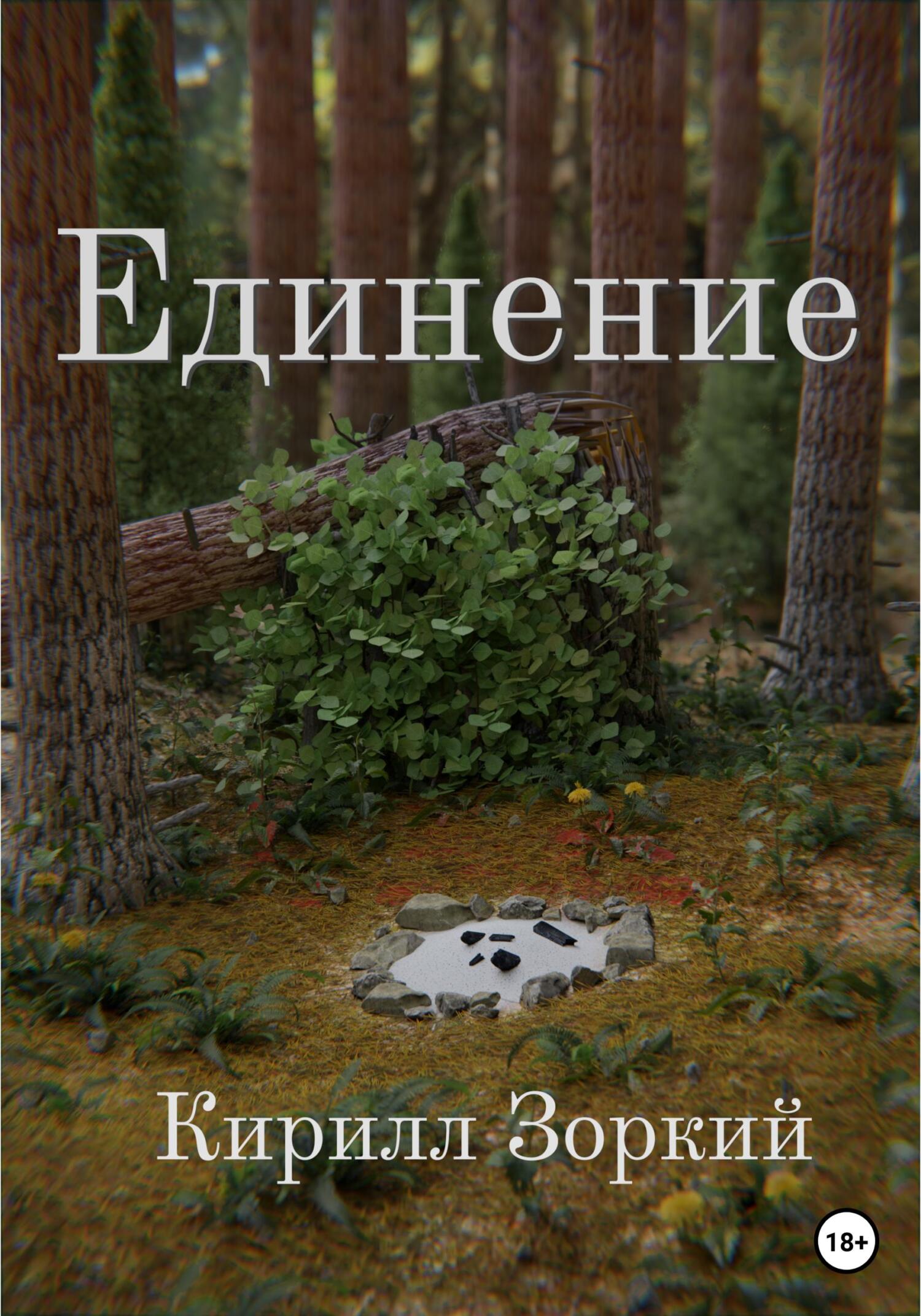 Читать онлайн «Единение», Кирилл Зоркий – ЛитРес, страница 7