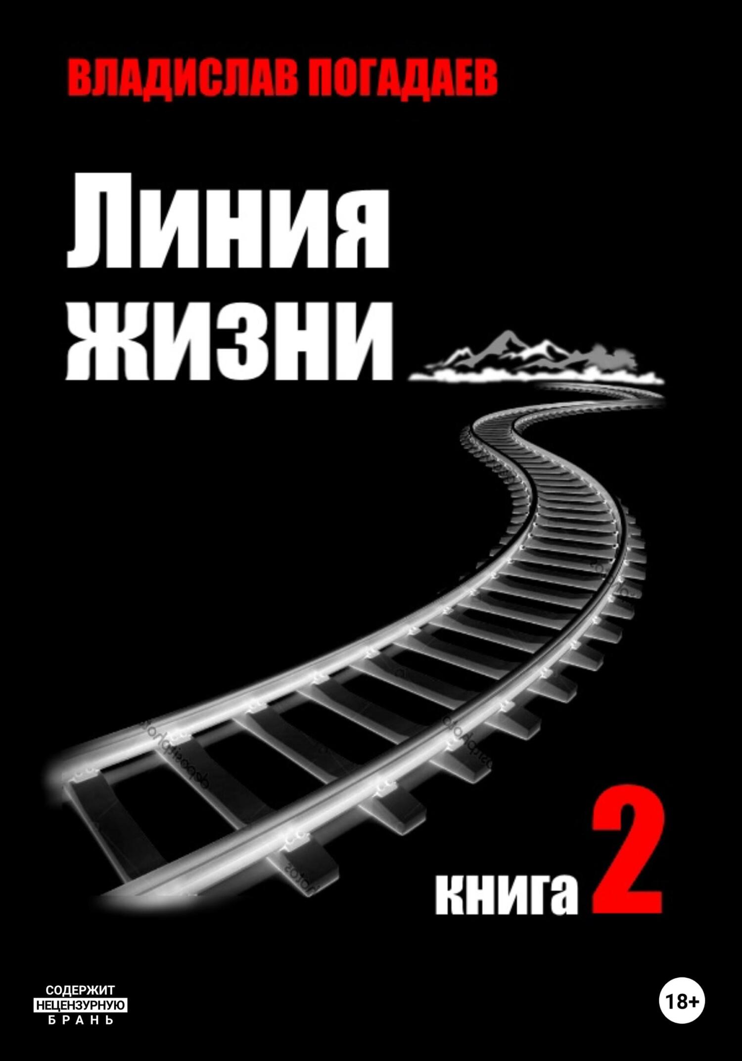 Читать онлайн «Линия жизни. Книга вторая», Владислав Михайлович Погадаев –  ЛитРес, страница 2