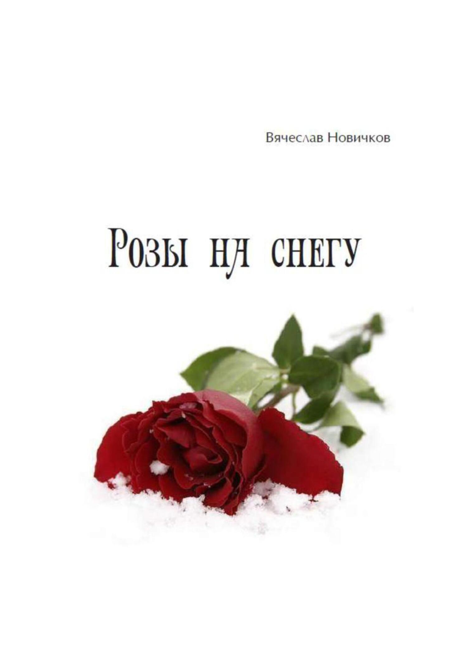 Читать онлайн «Розы на снегу», Вячеслав Новичков – ЛитРес, страница 14