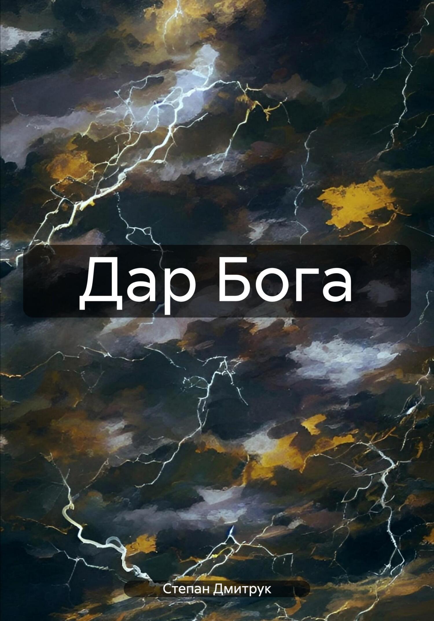 Читать онлайн «Дар Бога», Степан Вадимович Дмитрук – ЛитРес, страница 8