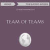 Team of Teams. Стэнли Маккристал (обзор)