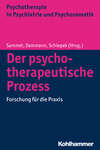 Der psychotherapeutische Prozess