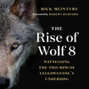 The Rise of Wolf 8 - Witnessing the Triumph of Yellowstone's Underdog - Alpha Wolves of Yellowstone: A Trilogy, Book 1 (Unabridged)
