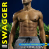 Swagger - Milwaukee Dragons 2 (Unabridged)