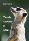 Tierische Abenteuer in Afrika