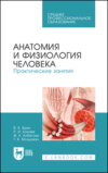Анатомия и физиология человека. Практические занятия. Учебное пособие для СПО