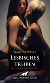 Das Klassentreffen: Lesbisches Treiben | Erotische Geschichte