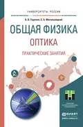 Общая физика. Оптика. Практические занятия. Учебное пособие для прикладного бакалавриата - Борис Валентинович Горячев