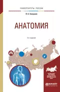 Анатомия 2-е изд., испр. и доп. Учебное пособие для вузов - Виктор Алексеевич Замараев