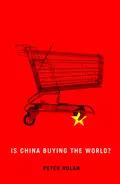 Is China Buying the World? - Peter  Nolan