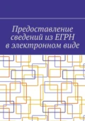 Предоставление сведений из ЕГРН в электронном виде - Антон Анатольевич Шадура