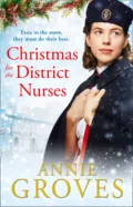 The District Nurse - Annie Groves
