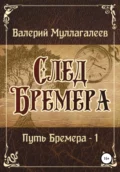 След Бремера - Валерий Владимирович Муллагалеев