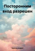 Посторонним вход разрешен - Андрей Владимирович Березин