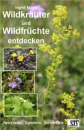 Wildkräuter und Wildfrüchte entdecken - Ingrid Mayer A.