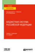 Бюджетная система Российской Федерации 3-е изд., пер. и доп. Учебник и практикум для вузов - Римма Алексеевна Петухова