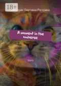 A moment in the universe. Story - Виктория Олеговна Рогозина
