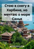 Стою в снегу в Харбине, но мечтаю о море Санья - Ирина Зиновьевна Мутовчийская