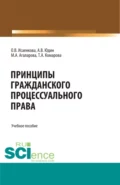 Принципы гражданского процессуального права. (Бакалавриат, Магистратура, Специалитет). Учебное пособие. - Андрей Владимирович Юдин