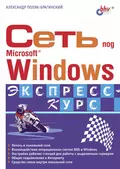 Сеть под Microsoft Windows - А. В. Поляк-Брагинский